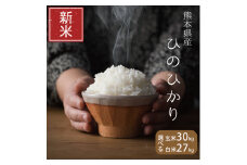  新米 令和5年産 ひのひかり 白米 27kg×1袋 | 米 ひのひかり 白米 熊本 玉名 新米