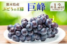 熊本県産 巨峰 約1.2kg 『 かめまる食堂 』 種無し ぶどう | フルーツ 果物 くだもの ブドウ 葡萄 種なし 熊本県 玉名市