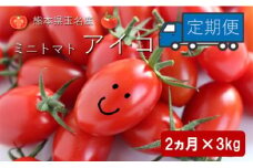 ミニトマト アイコ 【2ヶ月定期便】 | 野菜 やさい トマト とまと みにとまと 熊本県 玉名市 定期 定期便
