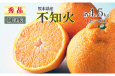 熊本県産 不知火 秀品 約 4.5kg（12玉～20玉） | フルーツ 果物 くだもの 柑橘 ミカン みかん 熊本県 玉名市