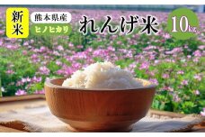 新米 熊本県 玉名市産 れんげ米 ヒノヒカリ 10kg | 米 こめ お米 おこめ 白米 精米 れんげ ひのひかり 熊本 玉名市