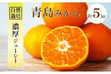 自然栽培 晩生 青島 みかん 約 5kg | フルーツ 果物 くだもの 柑橘 ミカン 熊本県 玉名市
