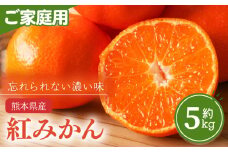 熊本県産 家庭用 紅みかん 約 5kg 下田農園 | フルーツ 果物 くだもの 柑橘 柑橘類 みかん ミカン 熊本県 玉名市