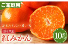 熊本県産 家庭用 紅みかん 約 10kg 下田農園 | フルーツ 果物 くだもの 柑橘 柑橘類 ミカン みかん 熊本県 玉名市