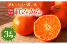 熊本県産 紅みかん 約 3kg 下田農園 | フルーツ 果物 くだもの 柑橘 ミカン みかん 熊本県 玉名市