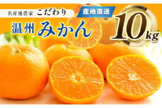 熊本県産 こだわり みかん 約 10kg 下田農園 | フルーツ 果物 くだもの 柑橘 柑橘類 ミカン みかん 熊本県 玉名市