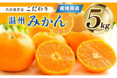 熊本県産 こだわり みかん 約 5kg 下田農園 | フルーツ 果物 くだもの 柑橘 柑橘類 ミカン みかん 熊本県 玉名市