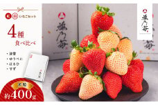 雅乃苺 紅白 いちご 大粒 4種 食べくらべ 約 400g （12粒） 淡雪 はるひ ゆうべに すず | フルーツ 果物 くだもの イチゴ 苺 白いちご セット 熊本県 玉名市