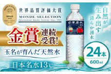 モンドセレクション 受賞 くまモン ラベル 天然水 日本 めいすい13℃  600ml × 24本 | 飲料 清涼 水 名水 ウォーター ドリンク ペットボトル 大容量 便利 玉名市限定 熊本県 玉名市