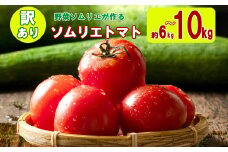 大玉 訳あり ソムリエトマト 約 6kg ～ 10kg (約3kg～5kg × 2箱) | 野菜 やさい トマト とまと 銀賞 熊本県 玉名市