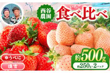 淡雪 ゆうべに セット 約 500g | 果物 くだもの フルーツ いちご 苺 イチゴ 白いちご 淡雪 ゆうべに 食べ比べ セット 熊本県 玉名市
