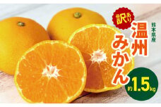 訳あり 熊本県産 温州みかん 約 1.5kg | 果物 くだもの フルーツ 柑橘 柑橘類 みかん ミカン 温州 大小混合 熊本県 玉名市