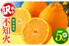 【 ご家庭用 訳あり 】 不知火 5kg （ デコポン と 同品種 ) | 果物 くだもの フルーツ 柑橘 柑橘類 みかん 訳あり でこみかん 熊本県産 生産量全国一位！