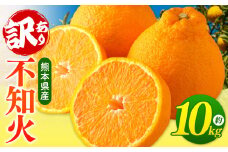 【 ご家庭用 訳あり 】 不知火 10kg （ デコポン と 同品種 ) | 果物 くだもの フルーツ 柑橘 柑橘類 みかん 訳あり でこみかん 熊本県産 生産量全国一位！