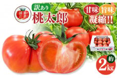 ご家庭用 トマト 桃太郎 約 2kg | やさい 野菜 とまと トマト 桃太郎 家庭用 熊本県 玉名市