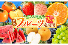 【 定期便 7回 】 まるごと 堪能 ！ 人気 フルーツ  | 果物 くだもの フルーツ みかん 赤いちご 白いちご 不知火 スイカ メロン 黒ぶどう シャインマスカット 太秋柿 定期便 7回 熊本県 玉名市