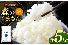 森のくまさん 白米 5kg | 米 お米 精米 森のくまさん 5キロ 国産 国産米 熊本県産 熊本県 玉名市