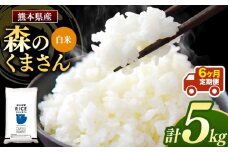 【 定期6回 】 森のくまさん 白米 5kg×6回 | 米 お米 精米 森のくまさん 5㎏ 定期便 6回 熊本県産