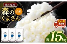【 定期6回 】森のくまさん 白米 15kg （5kg×3袋）×6回 | 米 お米 精米 白米 15kg 5kg 3袋 6回 定期便 送料無料 熊本県産 