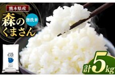 森のくまさん 無洗米 5kg | お米 米 無洗米 5キロ 国産 国産米 熊本県 玉名市 くまもと たまな
