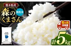 【定期6回】森のくまさん 無洗米 5kg×6回 |  米 精米 無洗米 森のくまさん 5㎏ 定期便 6回 熊本県産