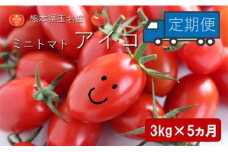 ミニトマト アイコ 【 5ヶ月定期便 】 | 野菜 やさい ミニトマト トマト とまと アイコ 3kg 5ヶ月 定期便 熊本県 玉名市