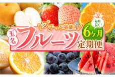 【 定期便 6回 】 プチっと 堪能 ！ 人気 フルーツ | 赤いちご 白いちご みかん 不知火 デコポン スイカ ぶどう 梨 太秋柿 果物 くだもの 定期便 6回 熊本県 玉名市