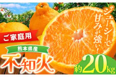『 かめまる食堂 』 熊本県産 ご家庭用 不知火 約 20kg （ デコポン と同品種 ) | 果物 くだもの フルーツ 柑橘 柑橘類 みかん 訳あり でこみかん 熊本県産 生産量全国一位！