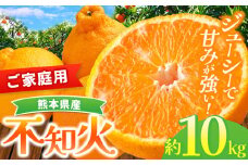 『 かめまる食堂 』 熊本県産 ご家庭用 不知火 約 10kg （ デコポン と同品種 ) | 果物 くだもの フルーツ 柑橘 柑橘類 みかん 訳あり でこみかん 熊本県産 生産量全国一位！