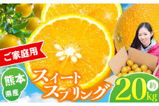 『 かめまる食堂 』 熊本県産 ご家庭用 スイートスプリング 約 20kg | 果物 くだもの フルーツ 柑橘 柑橘類 みかん 訳あり 熊本県 玉名市