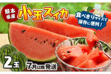 【 7月以降発送 】 スイカ 王国 熊本 ！ 小玉 すいか 2玉 ｜果物 くだもの フルーツ すいか スイカ 西瓜 小玉 熊本県産 