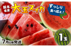 【 7月以降発送 】 スイカ 王国 熊本 ！ 大玉 すいか 1玉 ｜果物 くだもの フルーツ すいか スイカ 西瓜 大玉 熊本県産 