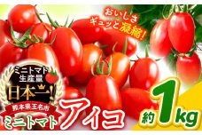 ミニトマト アイコ 約 1kg サザキ農園 | 野菜 やさい トマト とまと ミニトマト アイコ 熊本県 玉名市 生産量 日本一 玉名市 !!