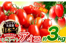 ミニトマト アイコ 約 3kg サザキ農園 | 野菜 やさい トマト とまと ミニトマト アイコ 熊本県 玉名市 生産量 日本一 玉名市 !!