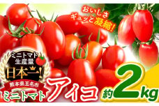 ミニトマト アイコ 約 2kg ｜ 野菜 トマト 熊本 サザキ農園 ミニトマト 生産量 日本一 玉名市 !! くまもと たまな