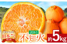 ≪ご家庭用≫ 不知火 約5kg ｜ 果物 フルーツ 不知火 熊本県 玉名市 くまもと たまな