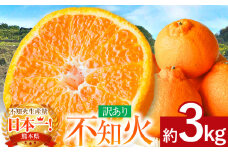 ≪ご家庭用≫ 不知火 約3kg ｜ 果物 フルーツ 不知火 熊本県 玉名市 くまもと たまな