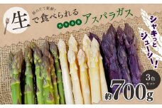 生で食べれる ‼ アスパラガス 3色 セット（ グリーン ・ホワイト ・ パープル  ）約 700g｜ 野菜 アスパラ ソムリエ 新鮮 健康 熊本県産 熊本 玉名 くまもと たまな
