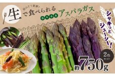生で食べれる ‼ アスパラガス 2色 セット（ グリーン ・ パープル  ）約 750g ｜野菜 アスパラ ソムリエ 新鮮 健康 熊本県産 熊本 玉名 くまもと たまな