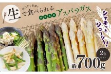 生で食べれる ‼ アスパラガス 2色 セット（ グリーン ・ ホワイト  ）約 700g ｜  野菜 アスパラ ソムリエ 新鮮 健康 熊本県産 熊本 玉名 くまもと たまな