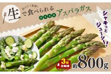 【 定期便 3回 】 生で食べれる ‼ アスパラガス （ グリーン ）約 800g ｜ 野菜 アスパラ ソムリエ 新鮮 健康 熊本県産 熊本 玉名 くまもと たまな