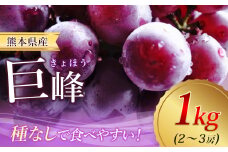 巨峰 約 1kg（2～3房） ｜ フルーツ 果物 ぶどう 葡萄 新鮮 農家直送 熊本 玉名 くまもと たまな