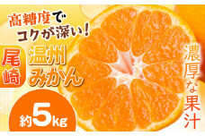 尾崎 温州 みかん 約 5kg ｜ 果物 柑橘 フルーツ 名産地 天水 熊本県 玉名市 くまもと たまな