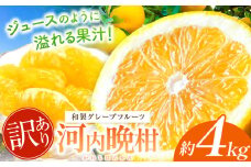  訳あり 河内晩柑 約 4kg 後藤農園 | 柑橘 みかん フルーツ 家庭用 和製 グレープフルーツ 果物 熊本県産