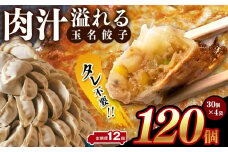 【 定期便 12回 】タレ不要‼ 肉汁 溢れる『 玉名餃子 』 120個 （30個×4袋）| 餃子 ぎょうざ お手軽 小分け 冷凍 冷凍食品 おかず 豚肉
