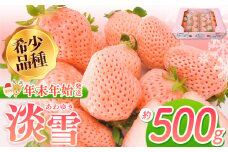 【年末年始発送】淡雪 約500g ｜ フルーツ 果物 いちご 淡雪 熊本 玉名