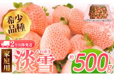 【2月以降発送】ご家庭用淡雪 約500g ｜ フルーツ 果物 いちご 淡雪 熊本 玉名