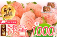 【2月以降発送】ご家庭用淡雪 約1000g ｜ フルーツ 果物 いちご 淡雪 熊本 玉名