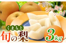 くまもと 旬の 梨 約 3kg | フルーツ 果物 くだもの なし ナシ 梨 旬 熊本県 玉名市