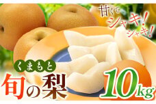 くまもと 旬の 梨 約 10kg | フルーツ 果物 くだもの なし ナシ 梨 旬 熊本県 玉名市